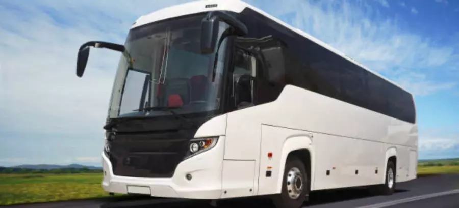bus turistico